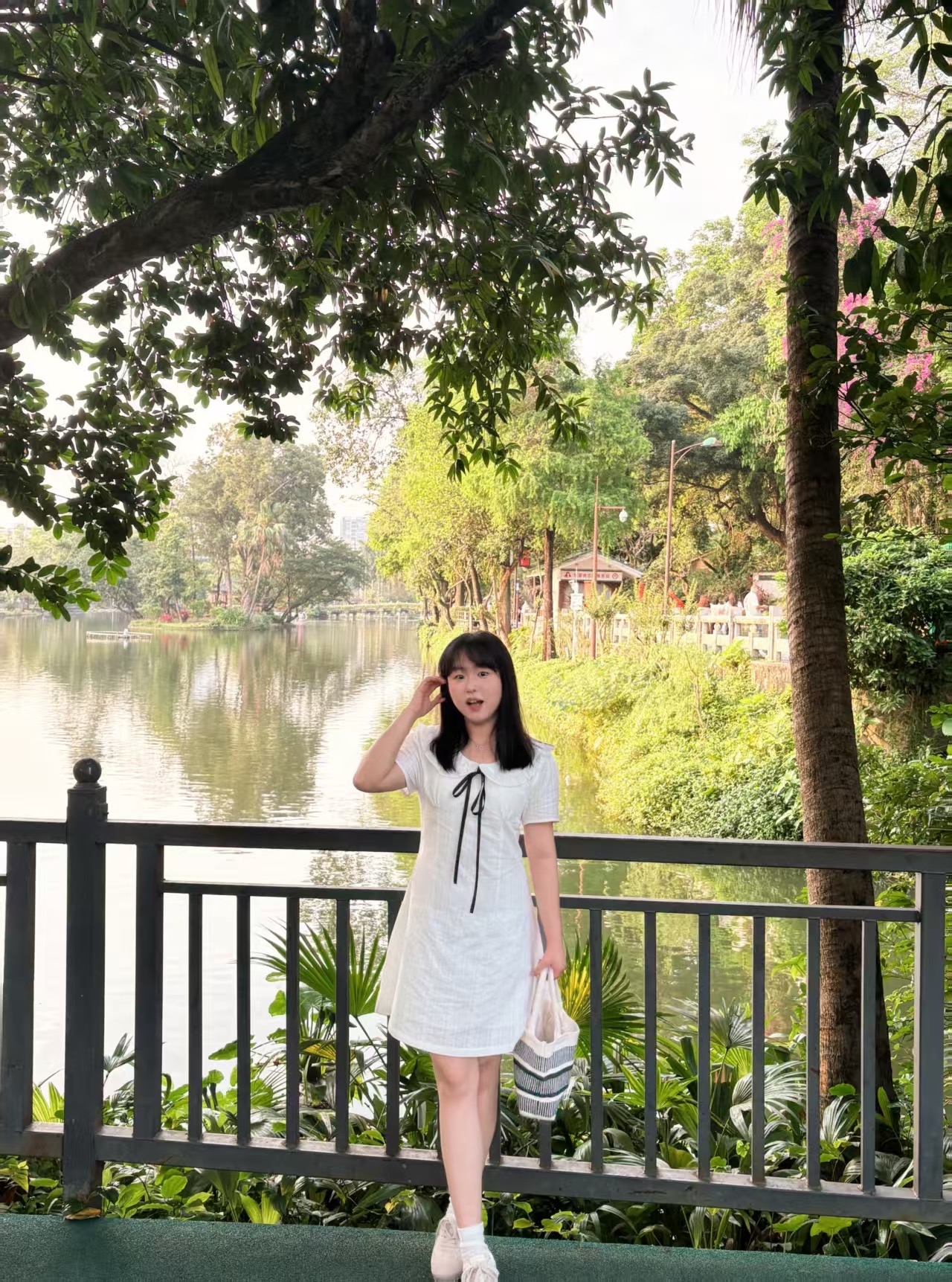 照片4