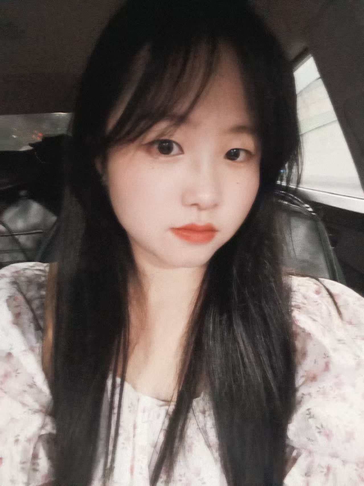 照片6